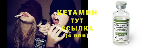 ПСИЛОЦИБИНОВЫЕ ГРИБЫ Дмитриев
