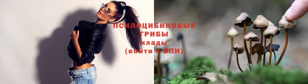 бошки Баксан