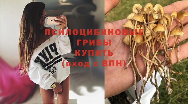 соль ск Балахна