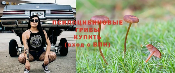 соль ск Балахна