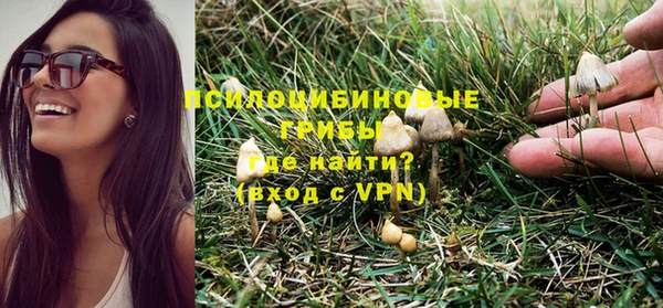 Альфа ПВП Балабаново